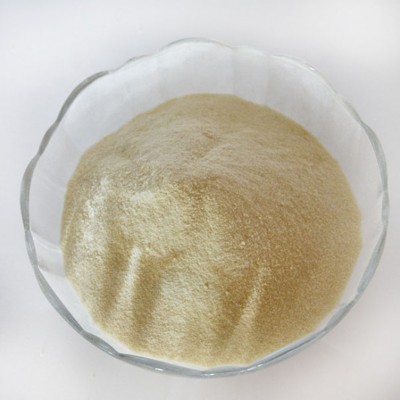 Whosale plant protein hydrolysate fertilizer