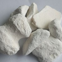 natural animal bone ash